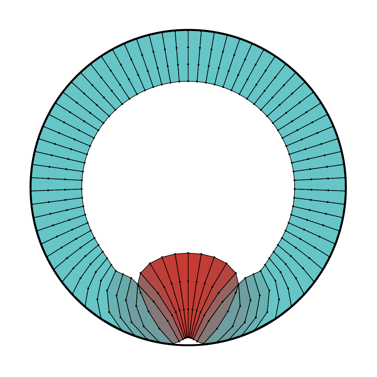 digital graphic of connected ring of rectangles representing cells, bulge deformation on bottom