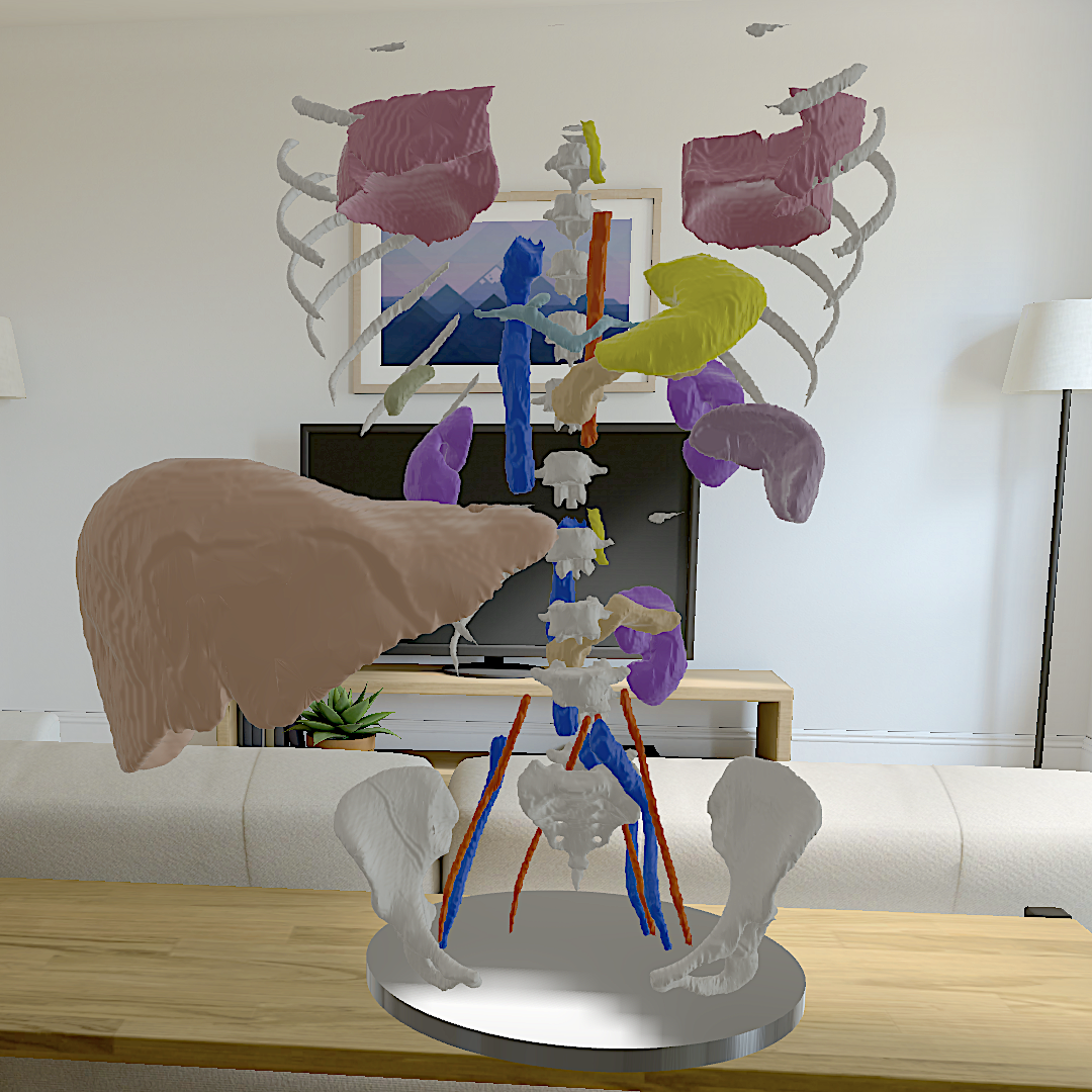 screen capture of application inside Apple Vision Pro headset, displaying a model of human anatomy